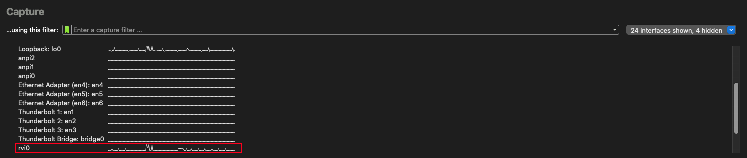 wireshark_rvi0_interface